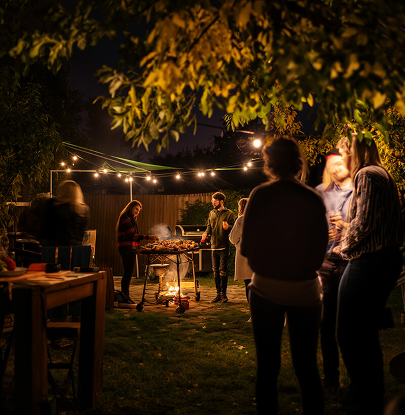 nighout Garden