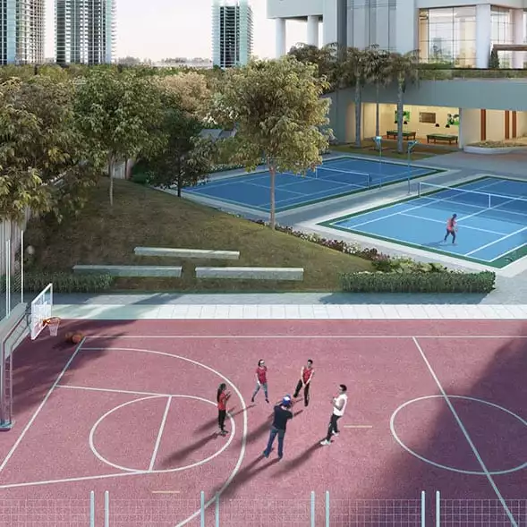 Basketball court