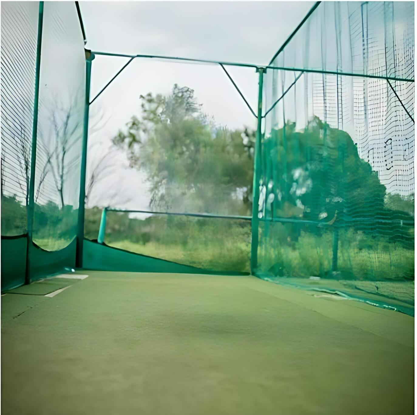 Cricket Ptch