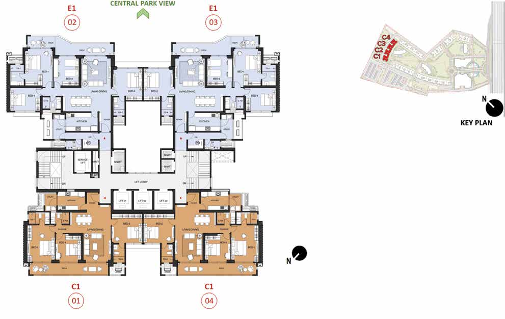 Unit Plan - Type C