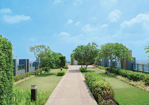 Walking Track